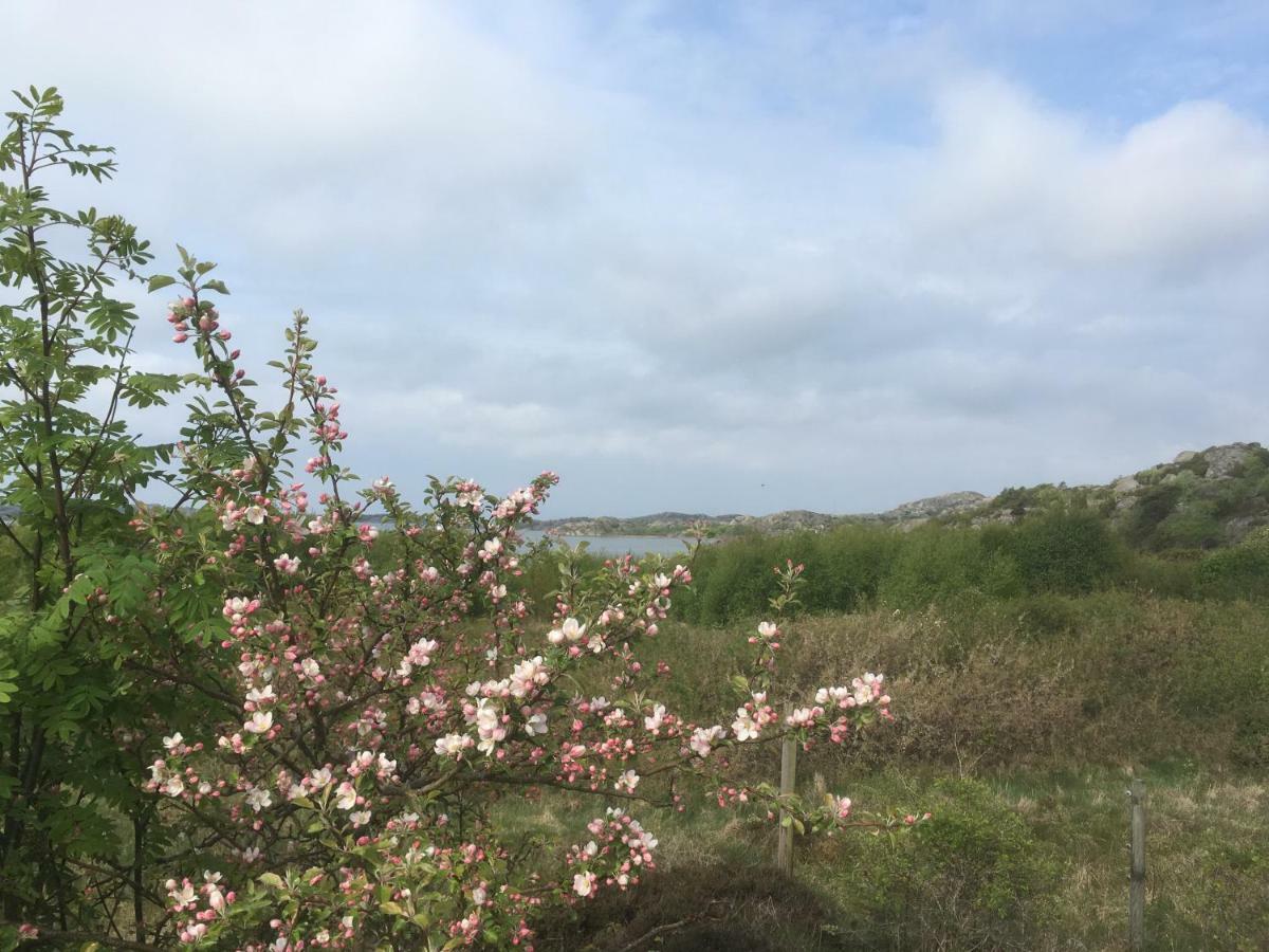 Stuga I Naturskoent Omrade Pa Vaestra Tjoern Saby Extérieur photo