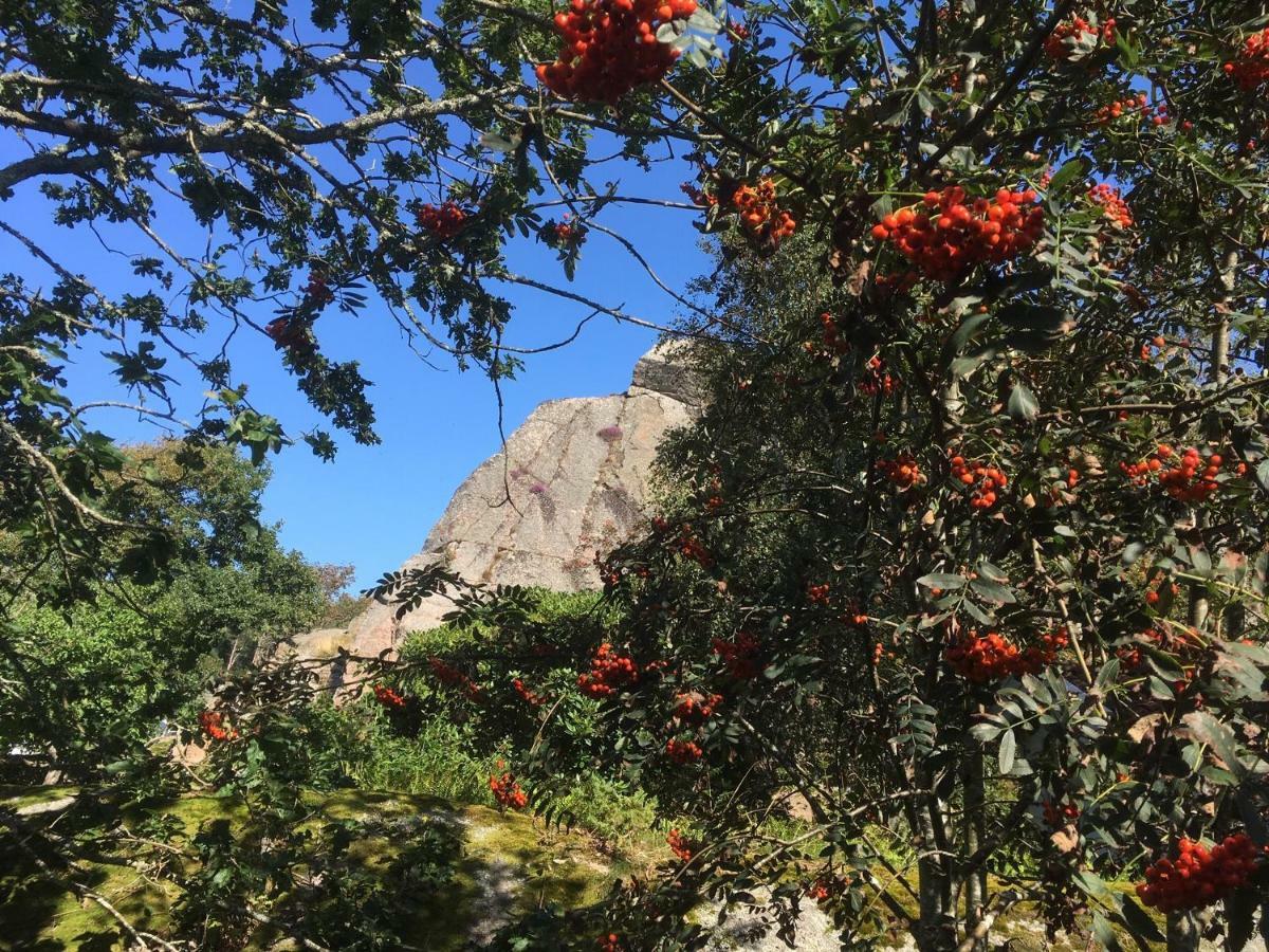 Stuga I Naturskoent Omrade Pa Vaestra Tjoern Saby Extérieur photo